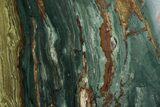 Gary Green Jasper (Larsonite) Bog Wood Slab - Oregon #377756-1